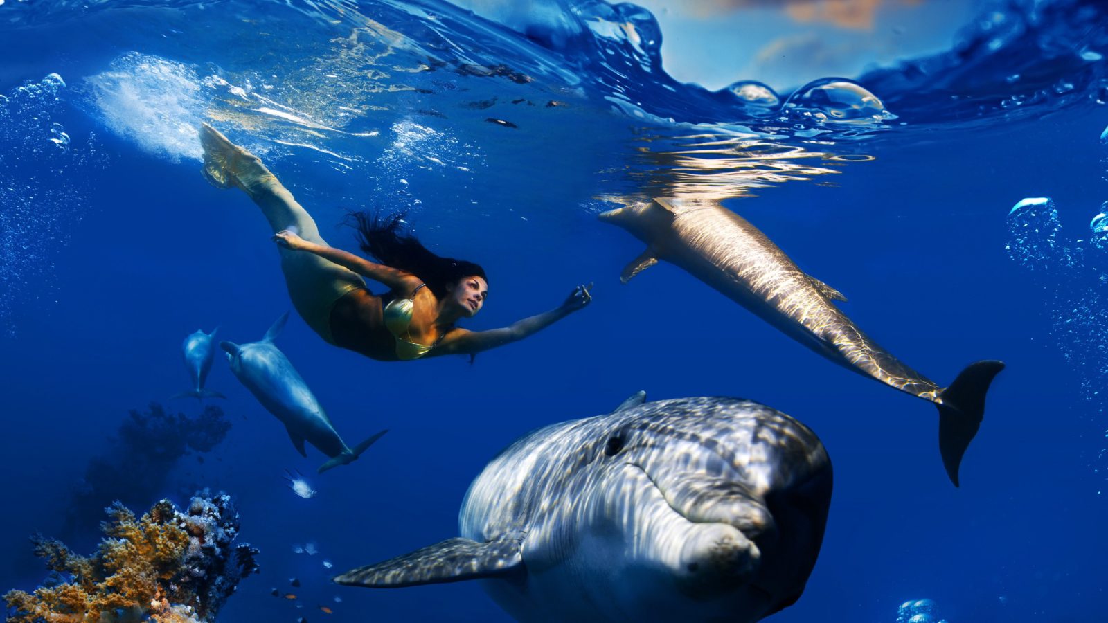 خلفيات أجمل صور الطبيعة الخلابة تحت الماء – صور خلفيات عالية الدقة HD Wallpapers